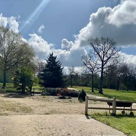 Grand Dans Un Parc Arbore